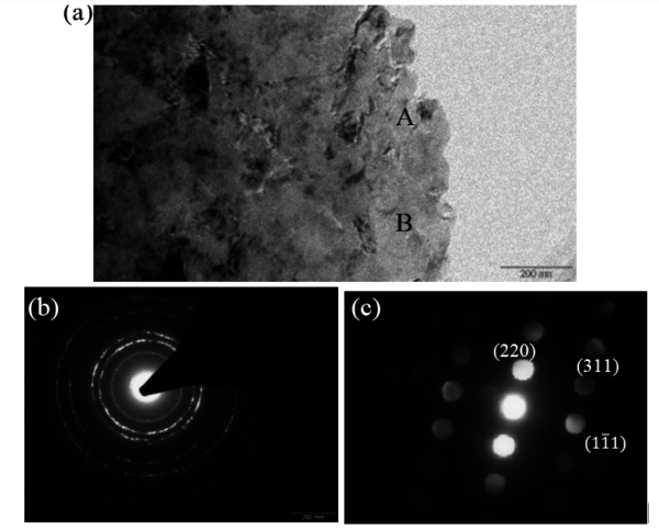 Riquelme et al 2019a-image7-c.png