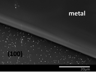 Maiorano Molina 2021a-image8.png