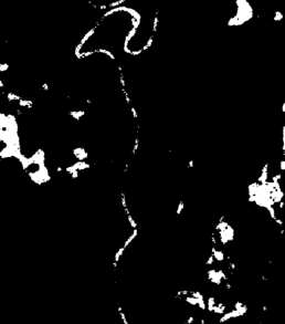 Draft Esqueda Oliva 308490420-image28-c1.png