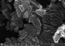 Draft Garcia-Martinez 237930664-image12.png