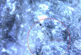 Draft Peng 905448111-image53.png