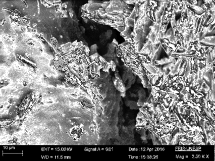 Urzulin et al 2018a-image14.png