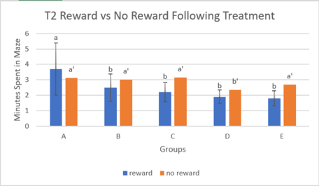 Draft Lin 338454679-image6-c.png