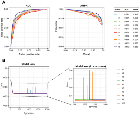 Draft Qu 612822743-image3.png