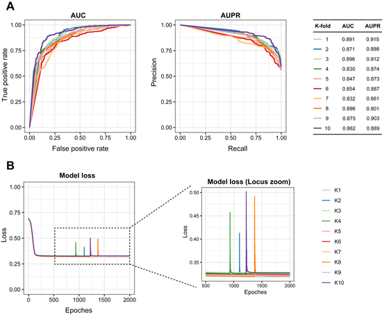 Draft Qu 612822743-image3.png