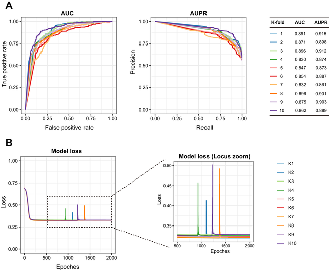 Draft Qu 612822743-image3.png