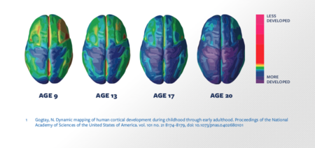 Review 535649618506-image2-c.png