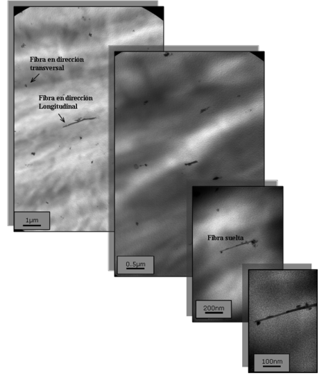 Asensio et al 2018a-image8-c.png