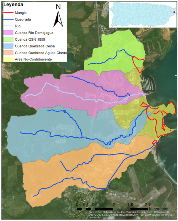 Draft Silva Araya 402876172-image4.png