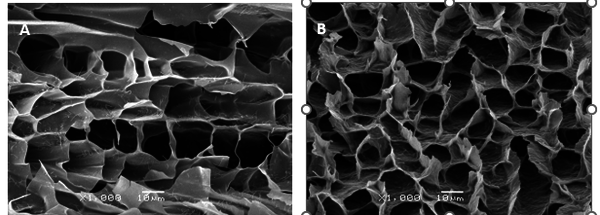 Draft Sanchez Soto 517554471-image1.png