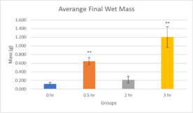 Review 855074334749-image11.png