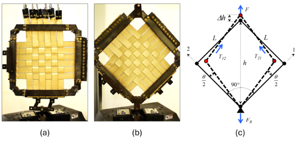 Draft Sosa 517862618 3718 Figure-2-R.png