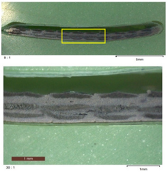 Review 297161669889-image9-c.png