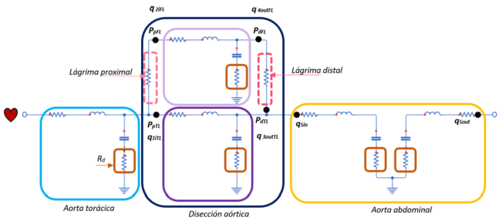 Draft Samper 411837410 5601 Fig31.png