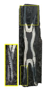 Draft Olaziregi Cuevas 140119553 6645 Figura07a.jpg