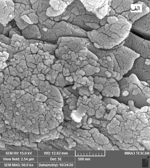 Draft Zandi 282762610-image9.jpeg