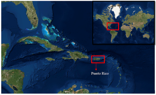 Draft Silva Araya 402876172-image1.png