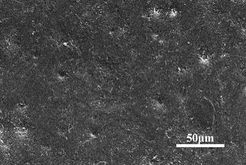 Draft Wang 506805600-image17.jpeg