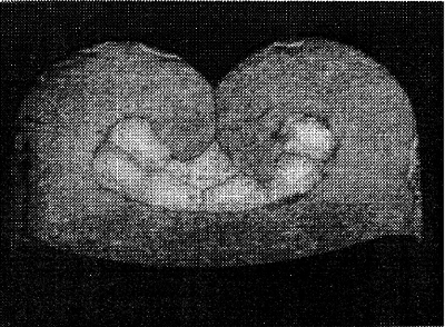Corte transversal do terminal crimpado em experimento real - altura do terminal de 1,25/1,26 mm - largura do terminal de 2,25 mm