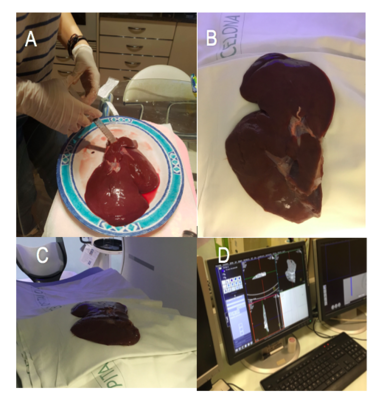 Draft Samper 627449012-image28.png