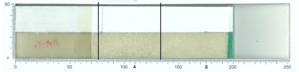 Blanco et al 2022a-image25.png