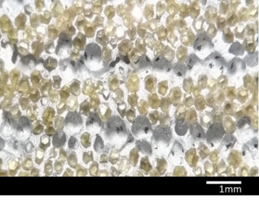 Maiorano Molina 2021a-image7.png