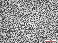 Draft Garcia 158989881-image11.jpeg