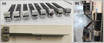 Review 903615849185-image2.png