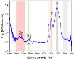 Draft Garcia-Martinez 237930664-image15-c.png