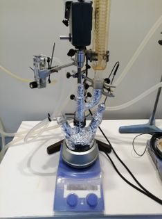 Draft Fulgencio 219421098-image3.jpeg