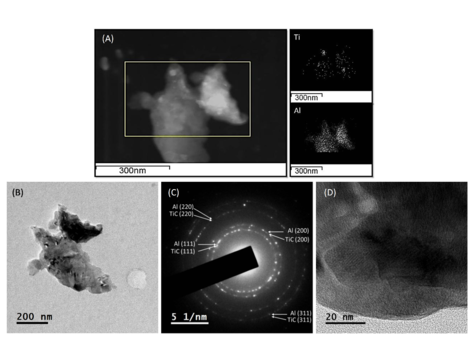 Feijoo et al 2018a-image13-c.png