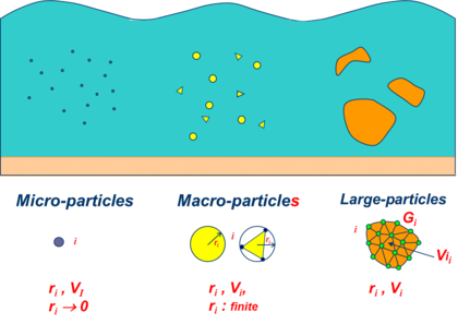 Microscopic, macroscopic and large particles within a fluid domain