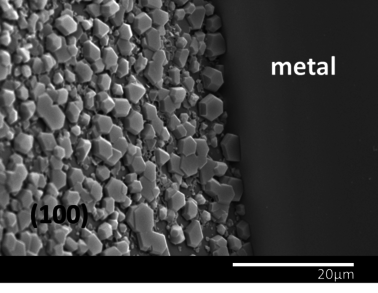 Maiorano Molina 2021a-image10.png