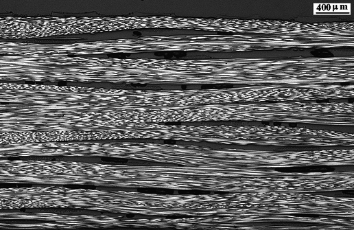 Gayoso et al 2019a-image13.png