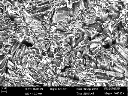 Urzulin et al 2018a-image11.png