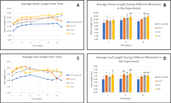 Draft Melika 548370994-image1.png