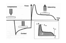 Draft Rodriguez 194449242-image7.png