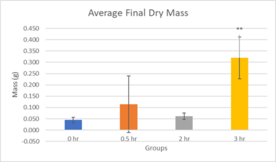 Review 855074334749-image11-c.png