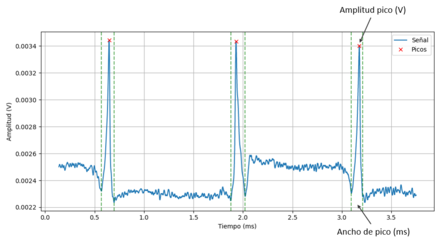 Draft Garaigordobil 395890122-image3.png
