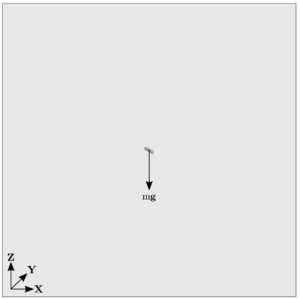 Initial configuration of the rotation test case 3.