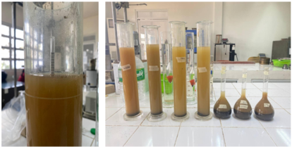 Draft Quezon 358647720-image10.png