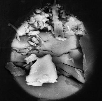 Gondra et al 2018a-image7-c.png