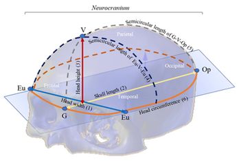 Review 995707923686-image2.jpeg