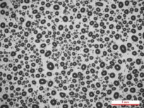 Draft Garcia 158989881-image16.png