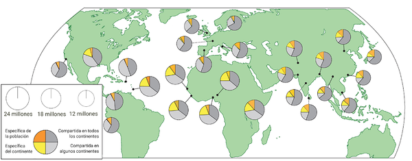 Draft Ràmia 175308795-image4.png