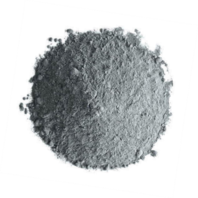 Draft Zandi 797628491-image2.png