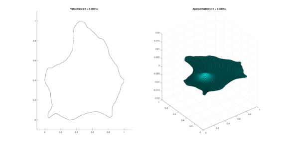 Results for ZIRA in the non-conservative case.