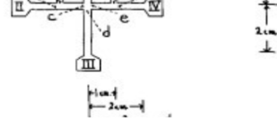 'Figure 1, T-Maze construction by (Rice Jr et al., 1957)'