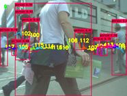 Draft Ren 456021400-image30.jpg