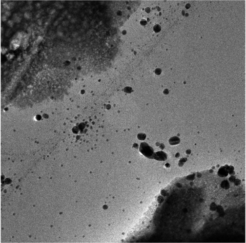 Micrografía TEM de NP de Ag, imagen con resolución 1020×1030